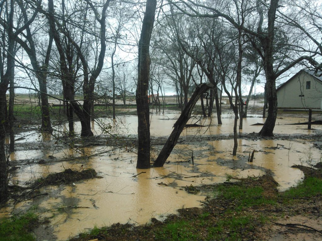 a picture of flood with dead trees