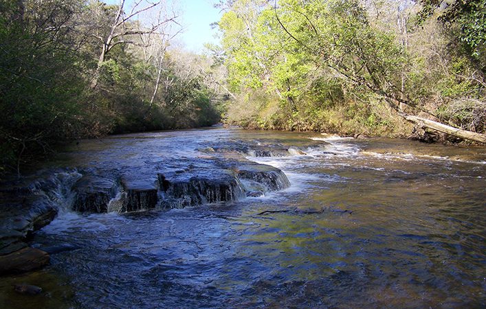 Photo of a river